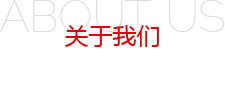 捌贰捌装饰